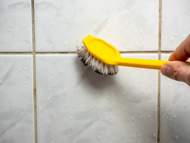 Best Same-Day Mold Removal  in Brusly, LA
