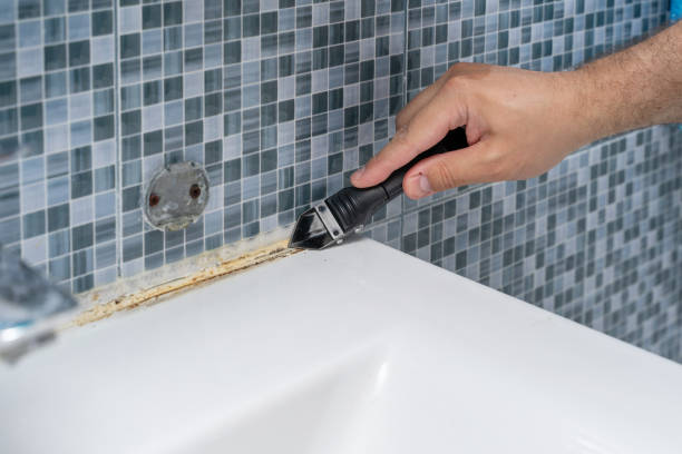 Best Local Mold Removal Service  in Brusly, LA